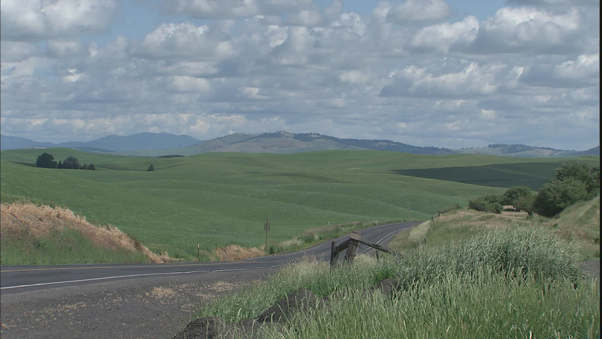 487087890 / Hilly Region / Palouse / USA