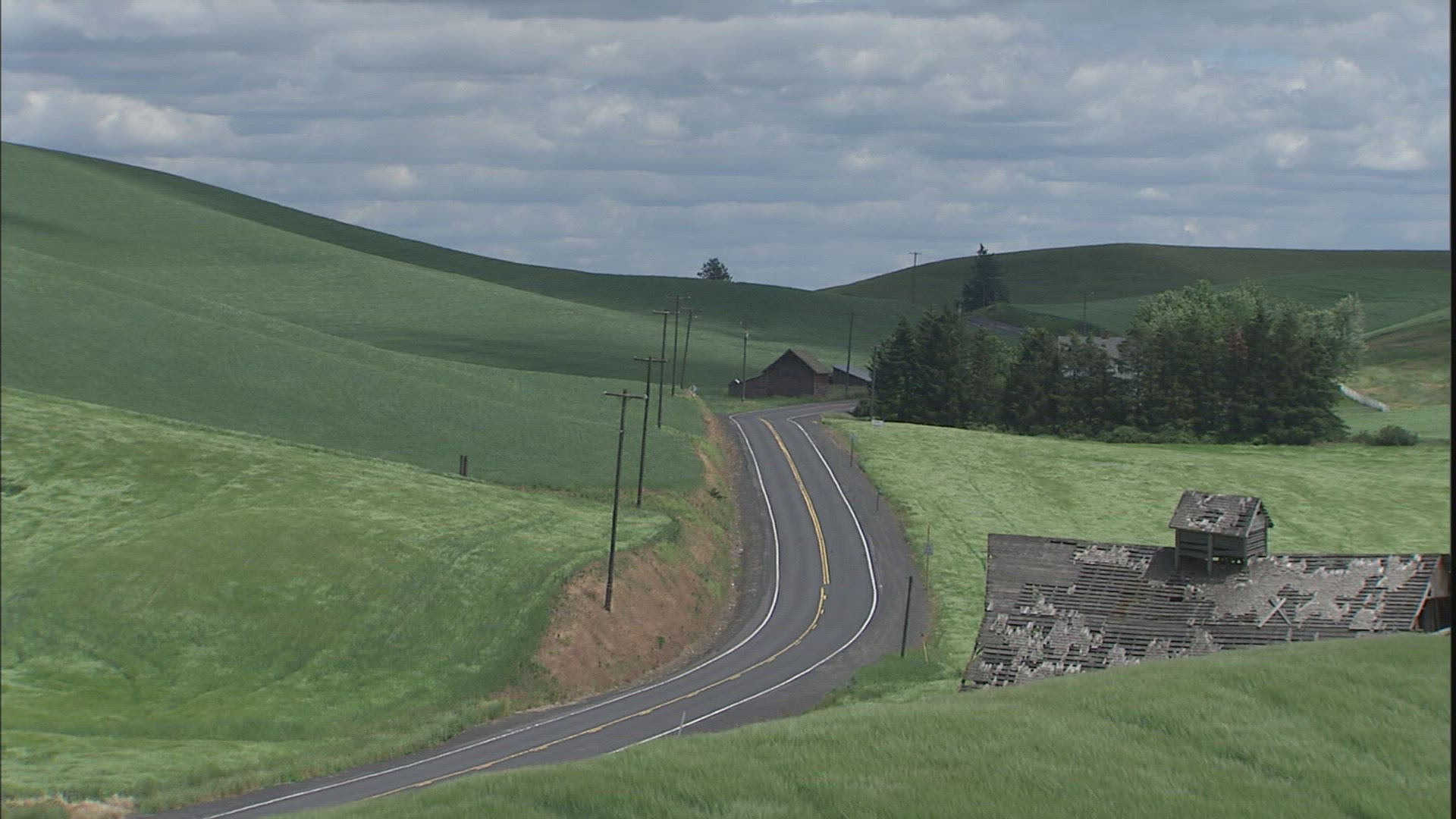 988593636 / Hilly Region / Palouse / USA