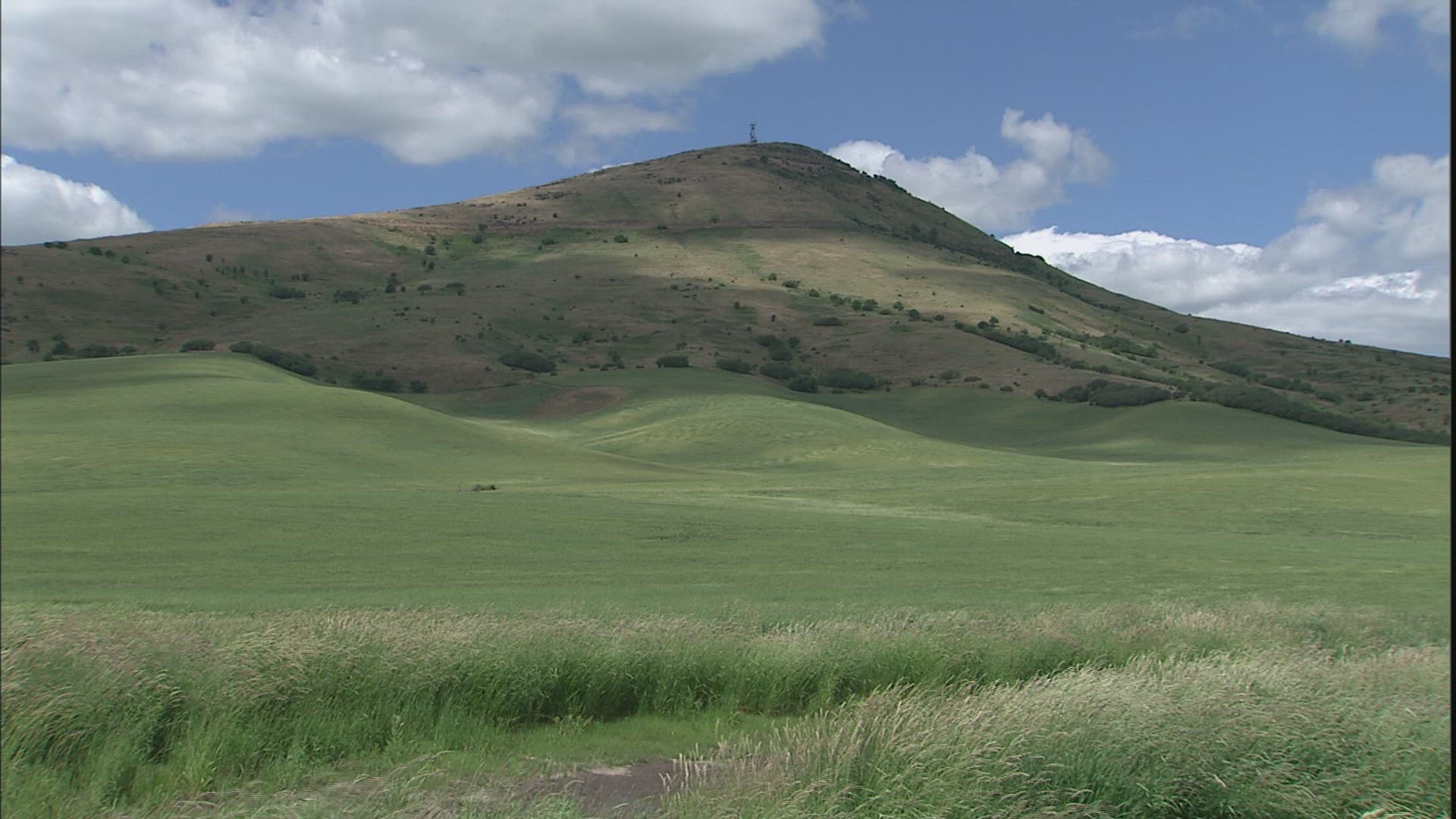 144995093 / Hilly Region / Palouse / USA
