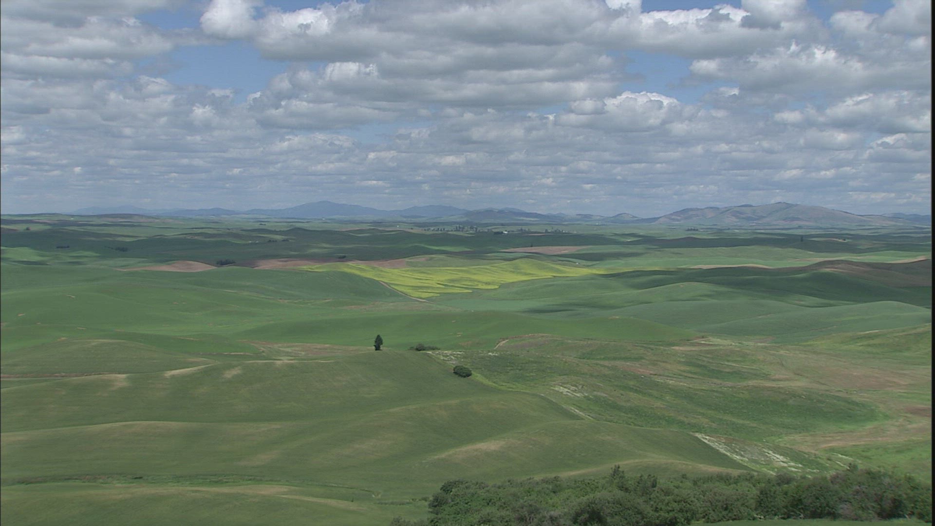 313752489 / Hilly Region / Palouse / USA