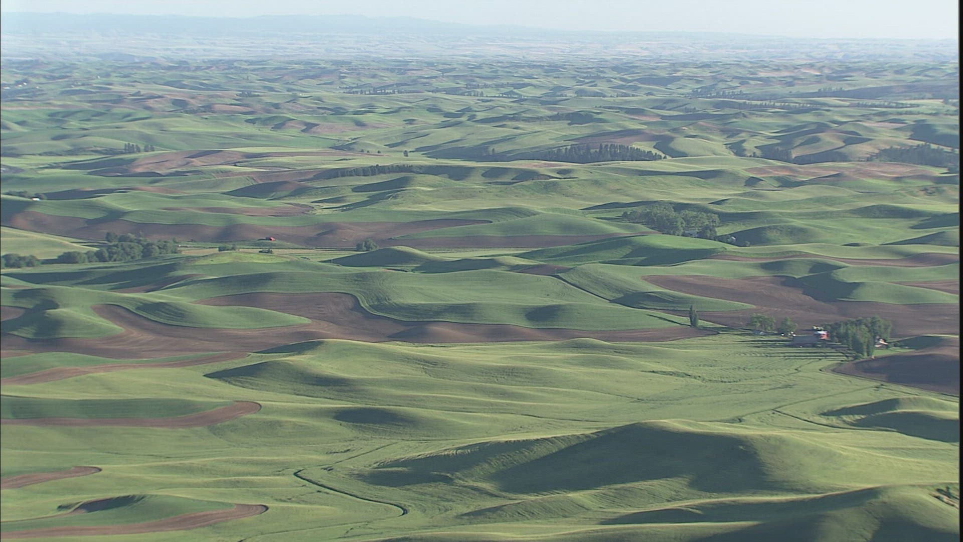 238110091 / Hilly Region / Palouse / USA