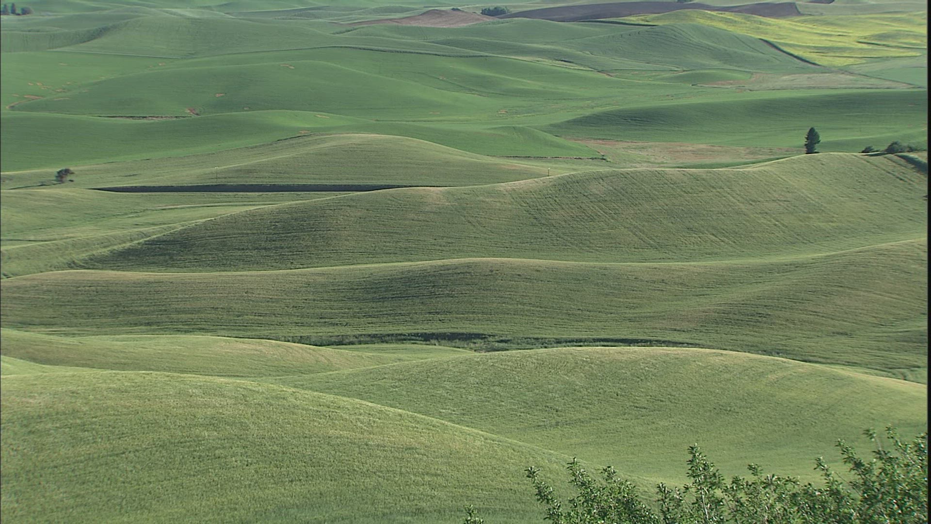 953060687 / Hilly Region / Palouse / USA