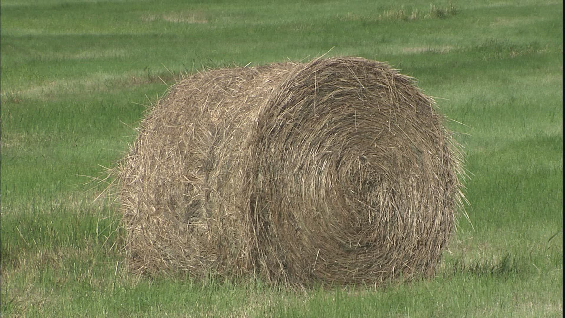 688652678 / Agribusiness / Palouse / USA