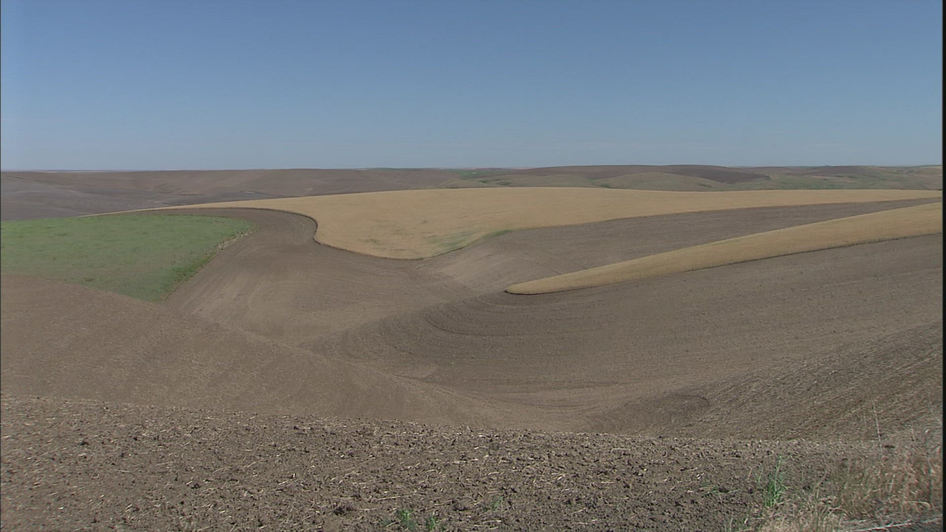 874444953 / Agribusiness / Palouse / USA