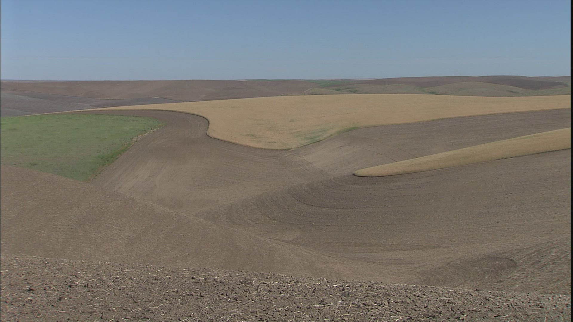 621541339 / Agribusiness / Palouse / USA