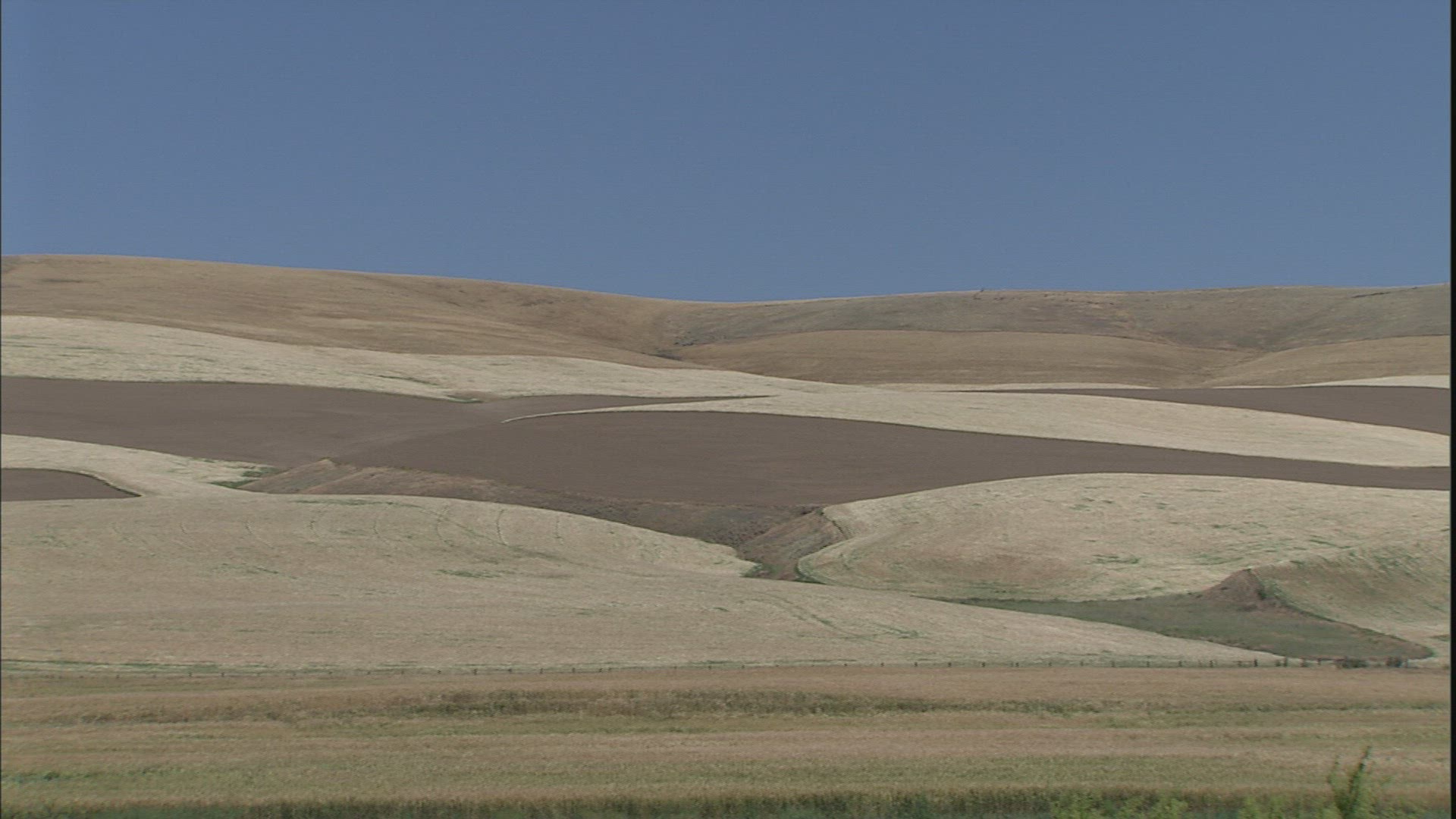 828656631 / Agribusiness / Palouse / USA