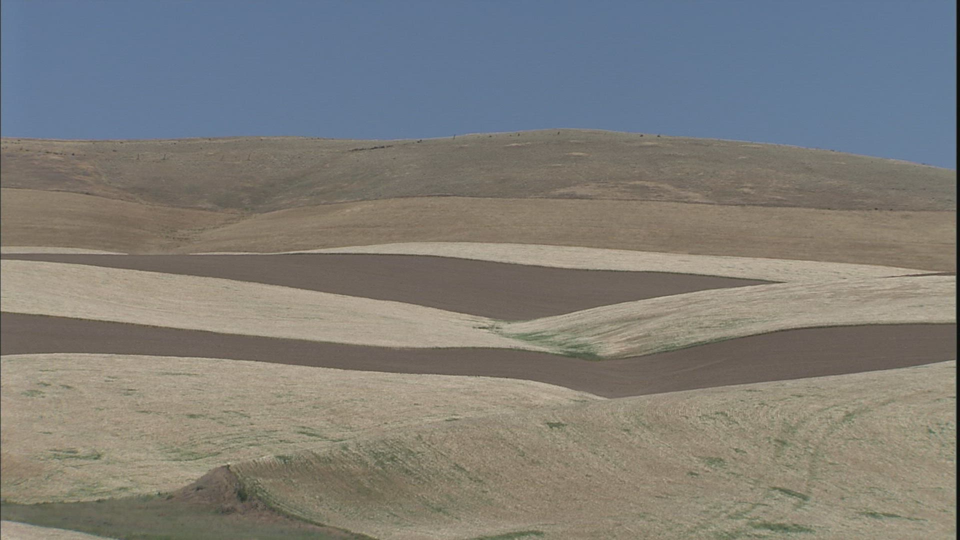 465708498 / Agribusiness / Palouse / USA