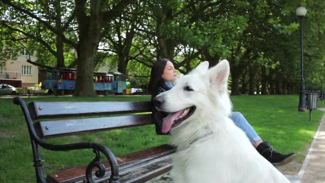 Young woman and dog waiting in the park -Clip 1-