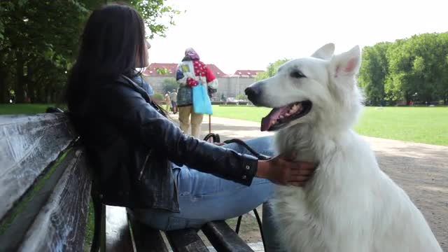 Young woman and dog waiting in the park -Clip 5-