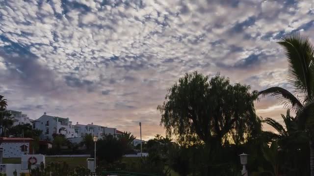 Tropical Park, Timelapse, Tenerife, Spain