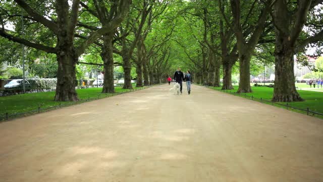 Young couple / Park / White dog -Clip 2-