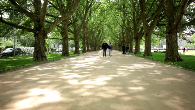 Young couple / Park / White dog -Clip 3-