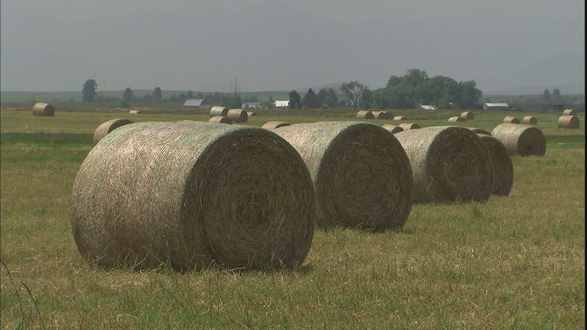 208065927 / Agribusiness / USA