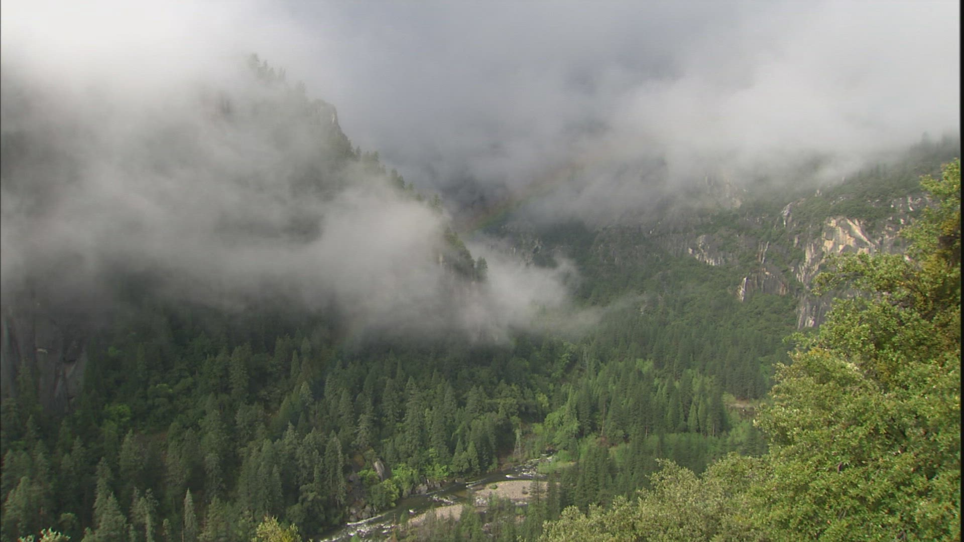 429825266 / Scenic / Yosemite National Park / California