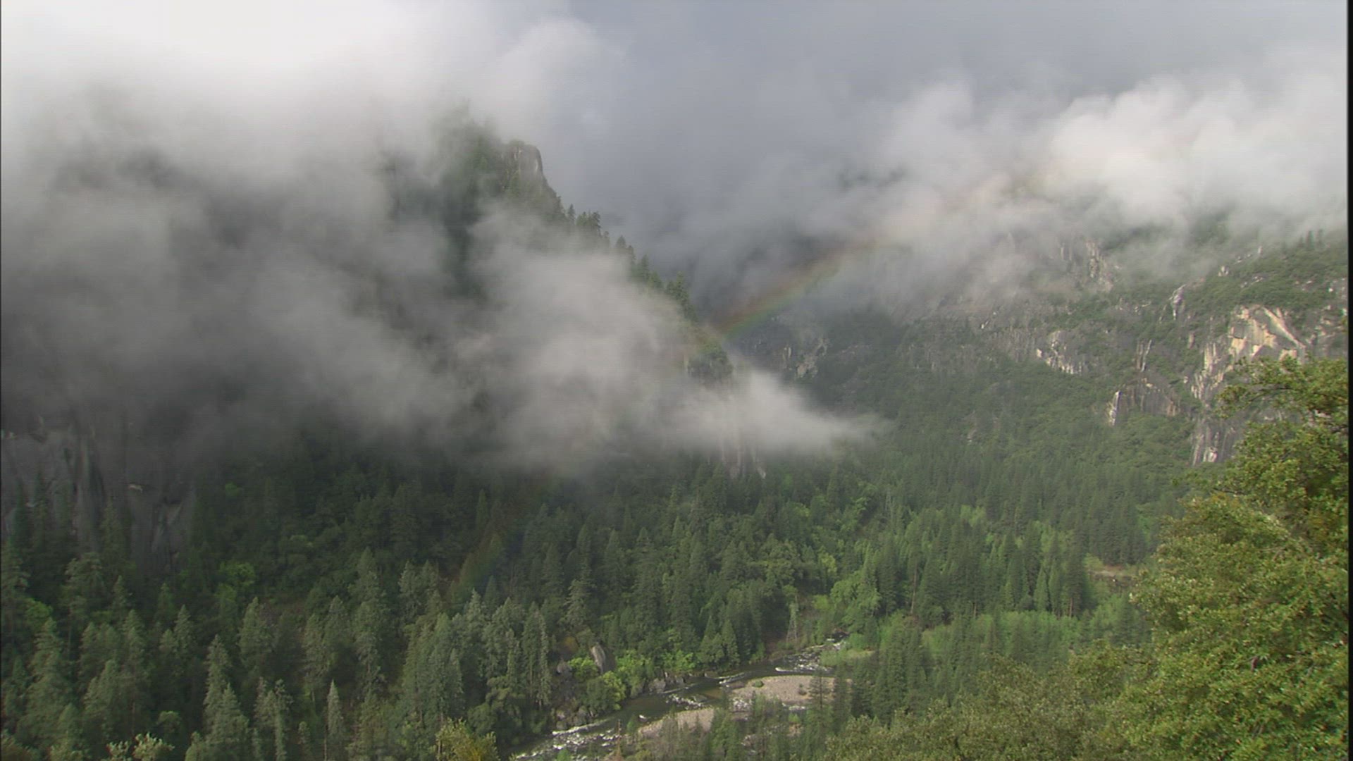 239119024 / Scenic / Yosemite National Park / California