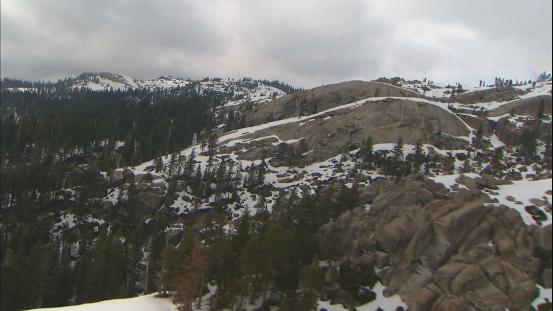 435292493 / Scenic / Yosemite National Park / California