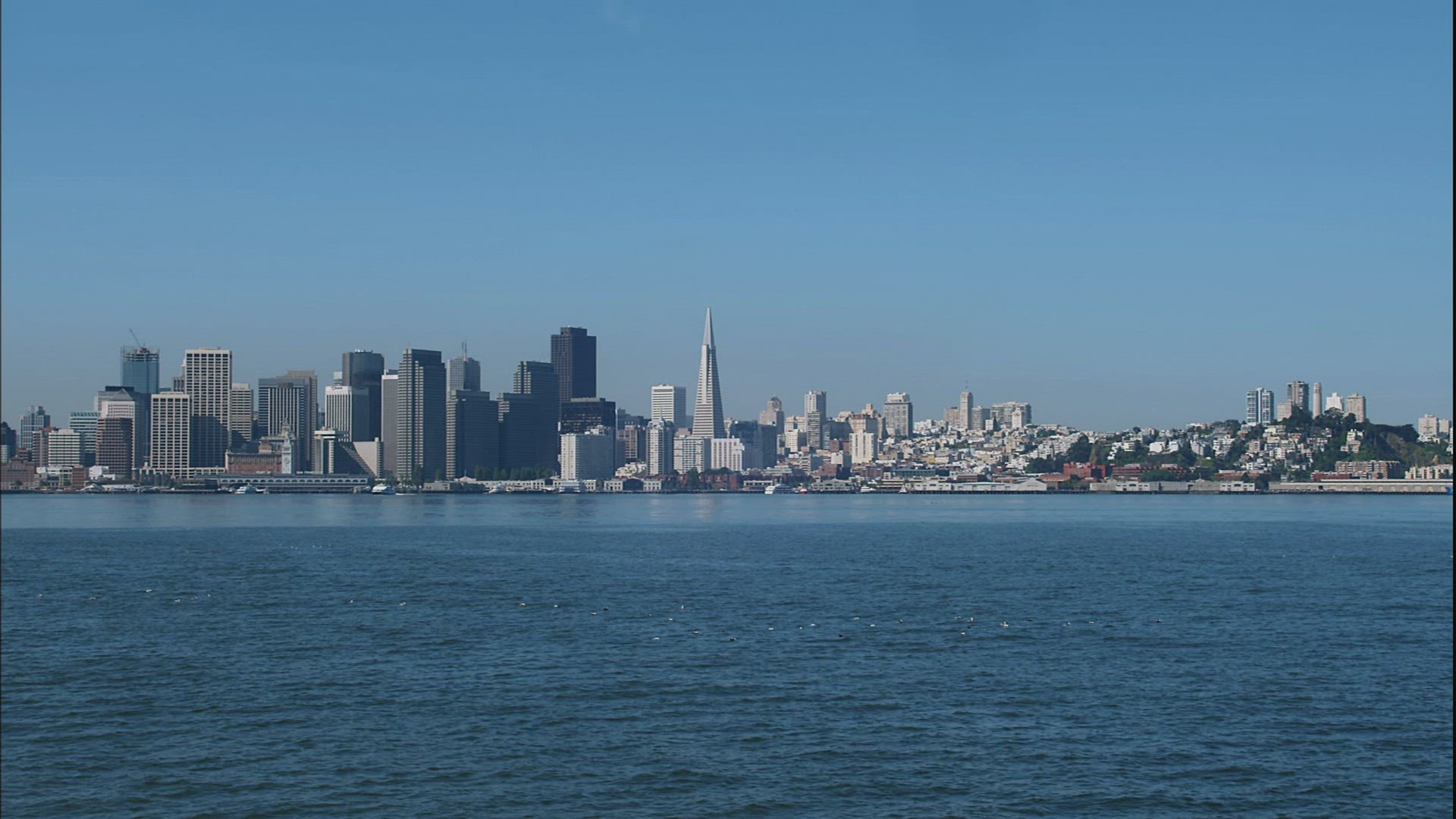 170107999 / Skyscraper / Sea / San Francisco