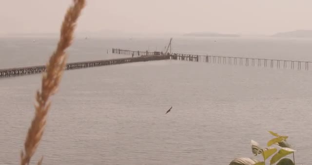 Peering out on the Pier