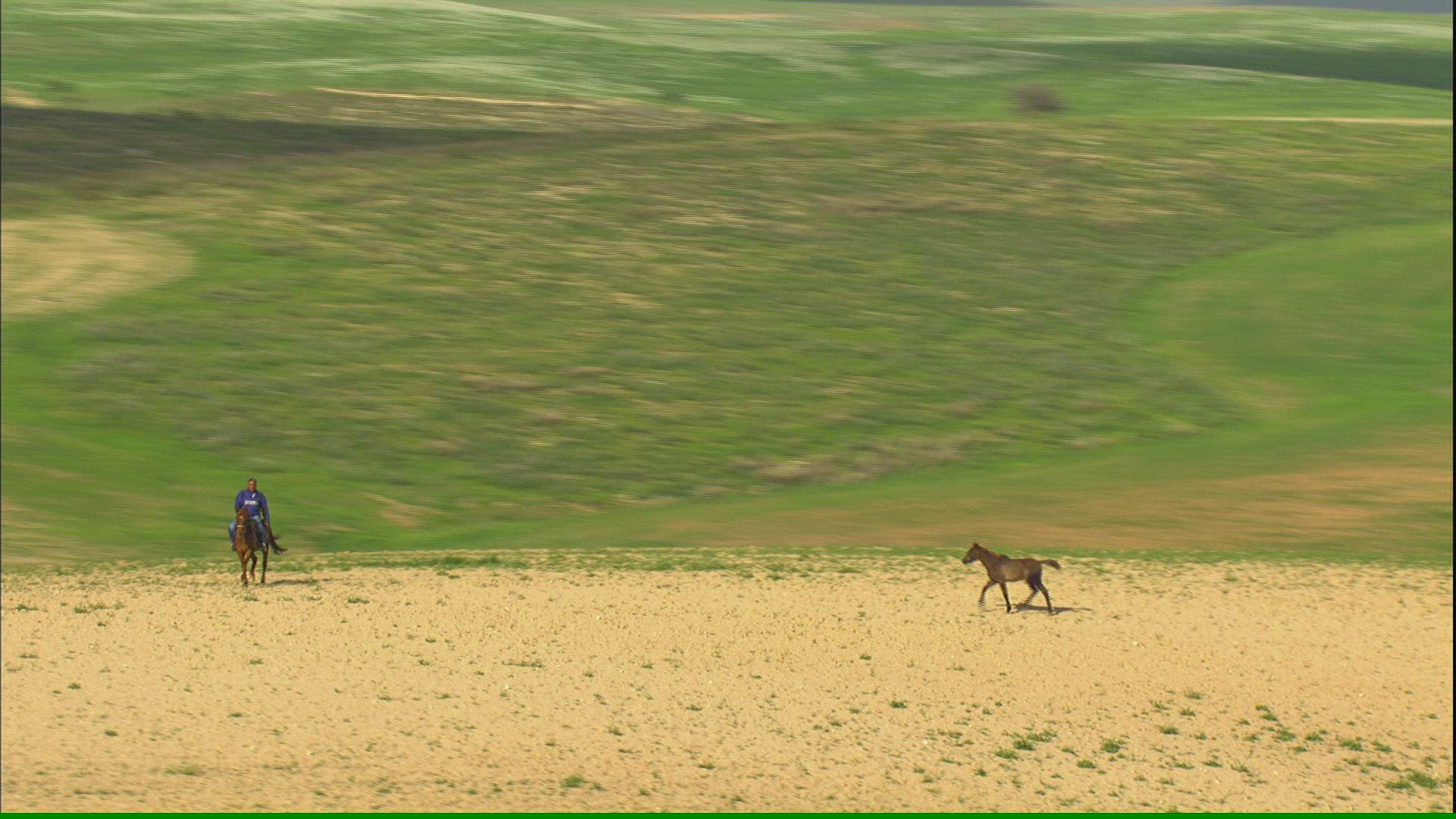 839872294 / Horse / Trotting / Israel