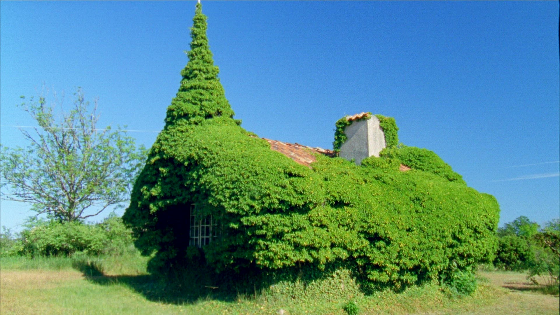 504906695 / Gotland / Sweden