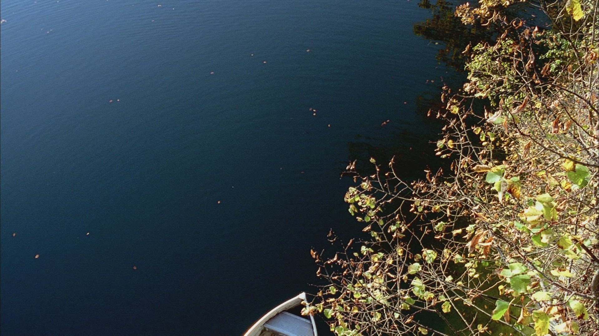 351374390 / Lake / Rowing / Bernese Oberland / Switzerland