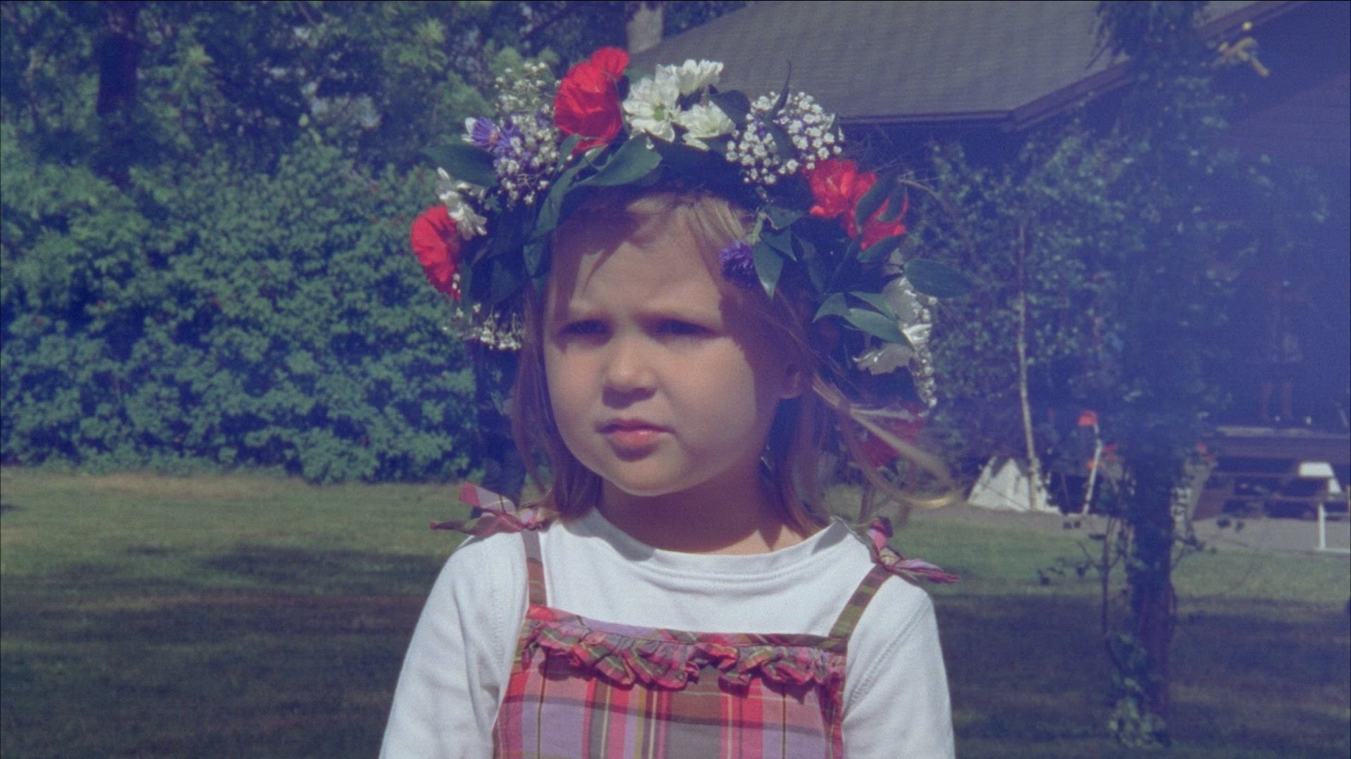 326421531 / Midsummer Festival / Sweden