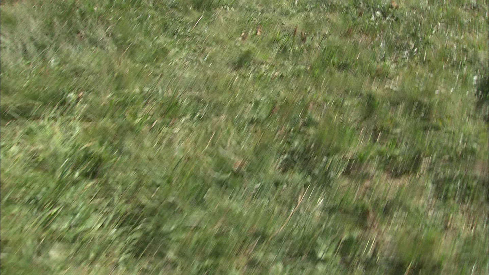 634492486 / Square Dance / Bernese Oberland / Switzerland