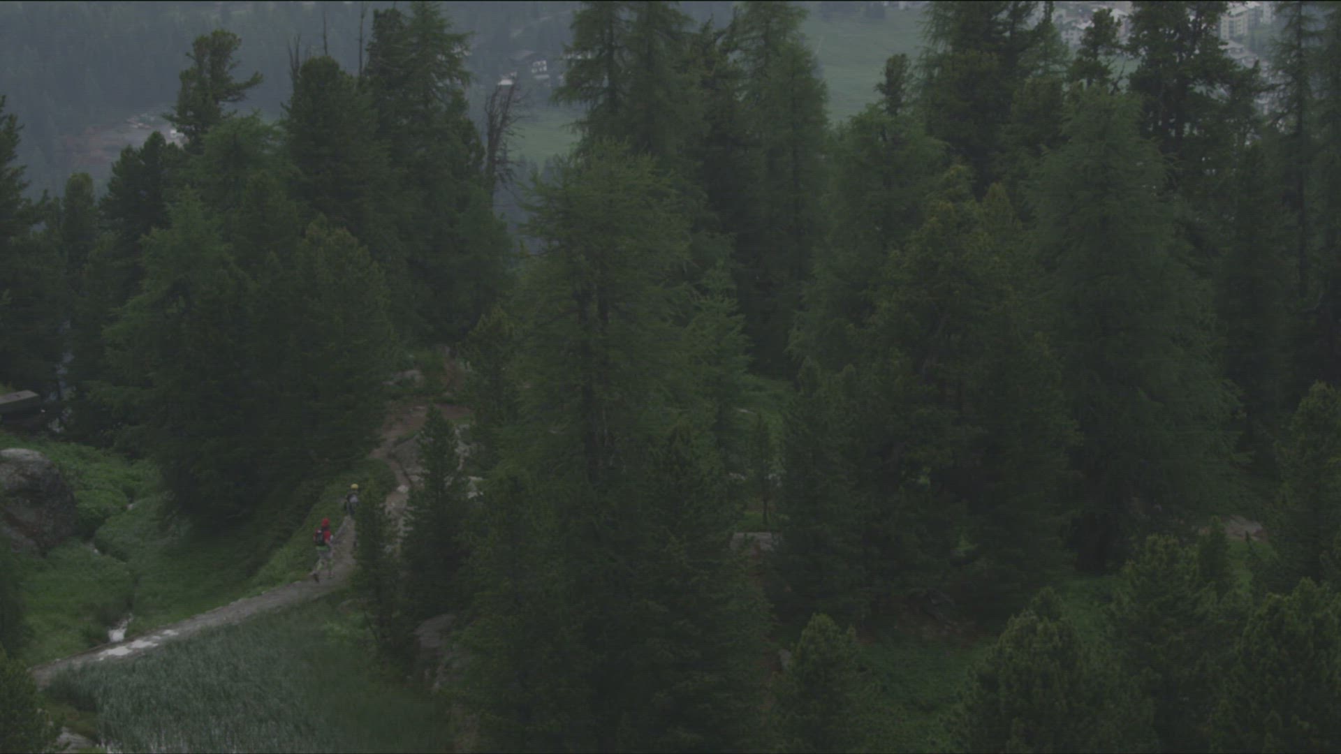 306534175 / Mountain Running / Alps / Switzerland