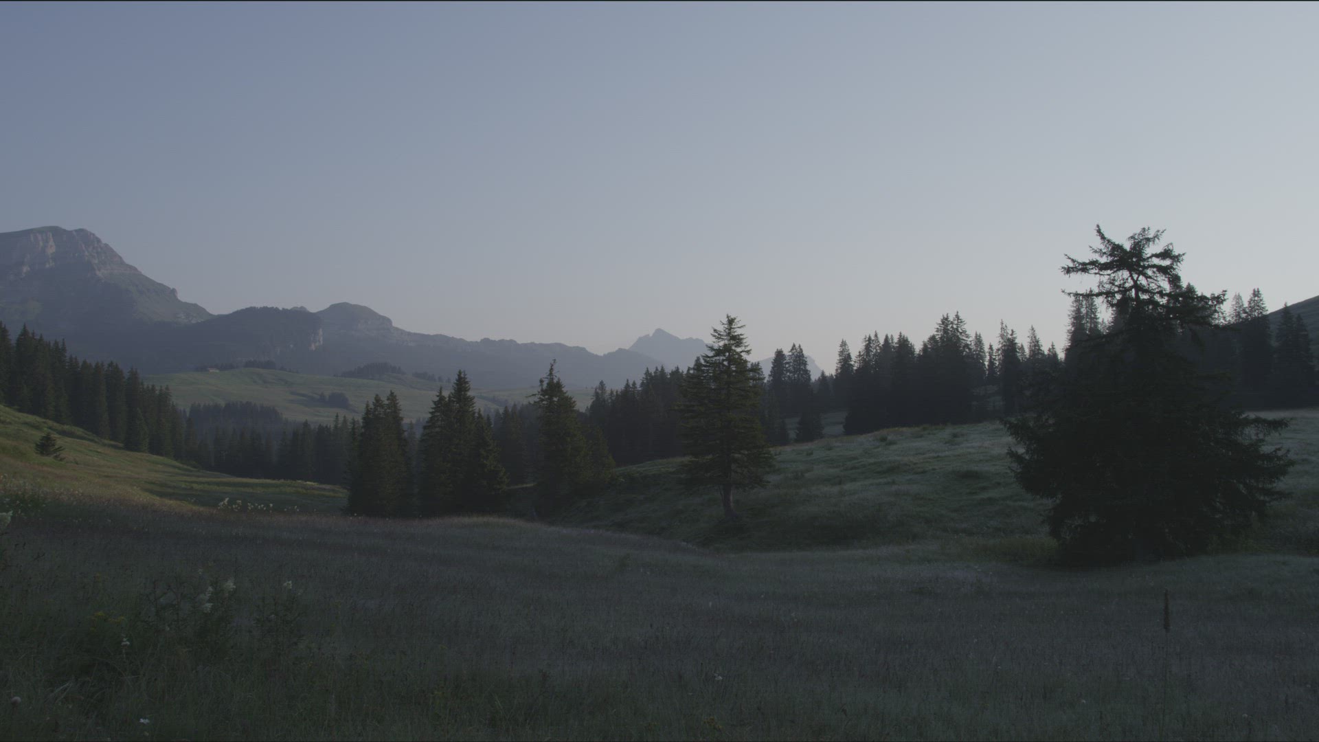 142428142 / Beauty in Nature / Morning / Mountain Region / Switzerland