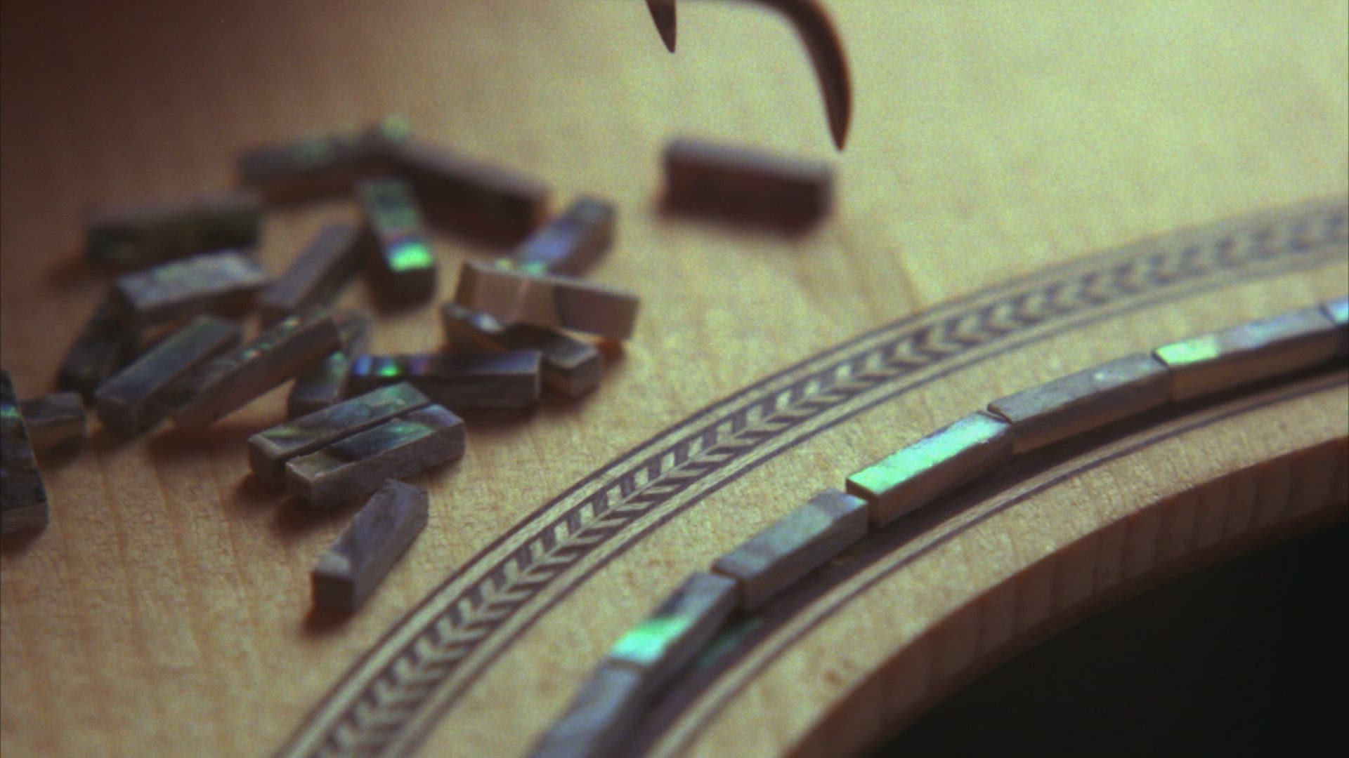 893564376 / Guitar / Building A Guitar / Arts and Crafts