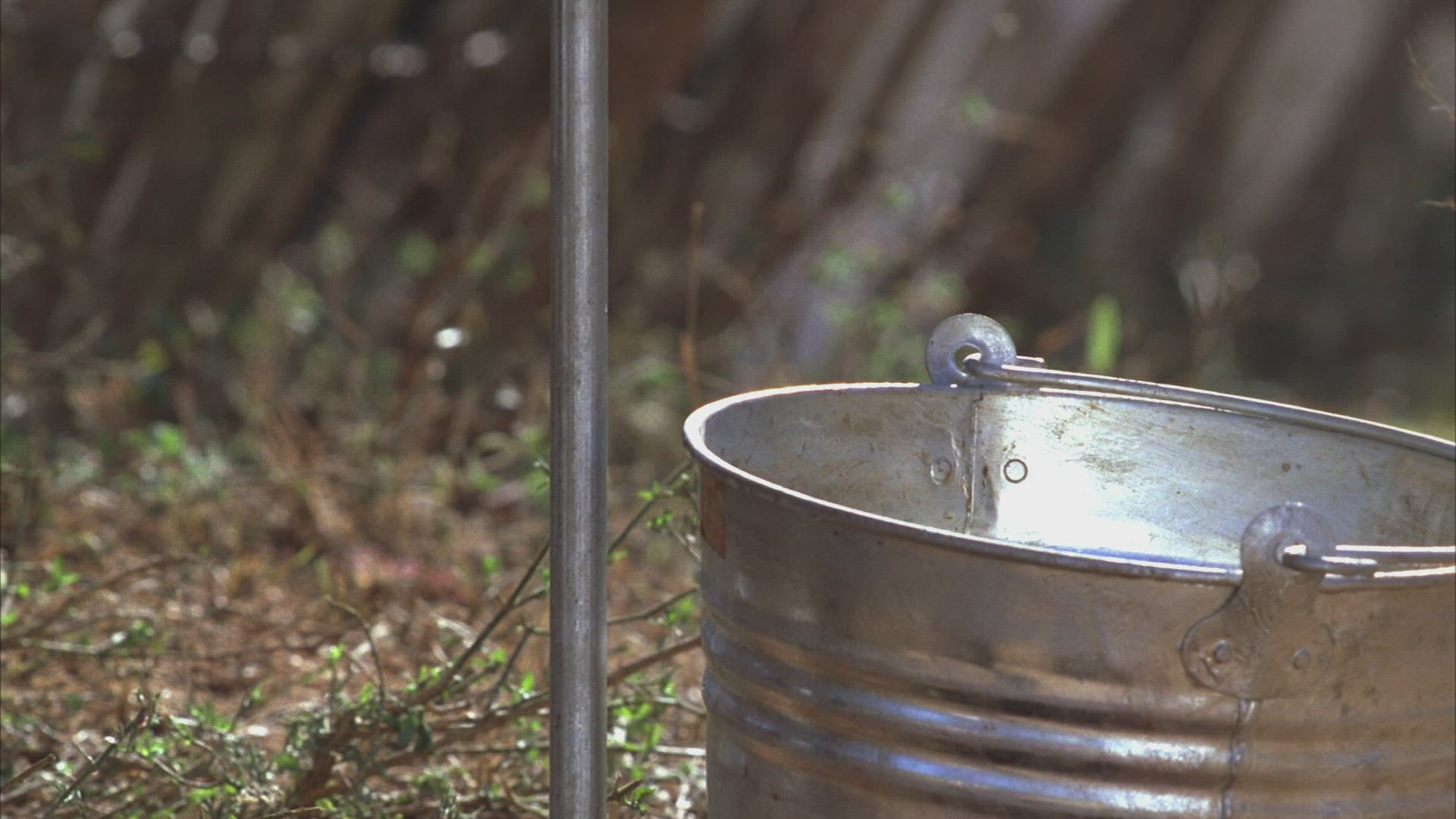 869247711 / Bucket / Getting Water / Water Tap