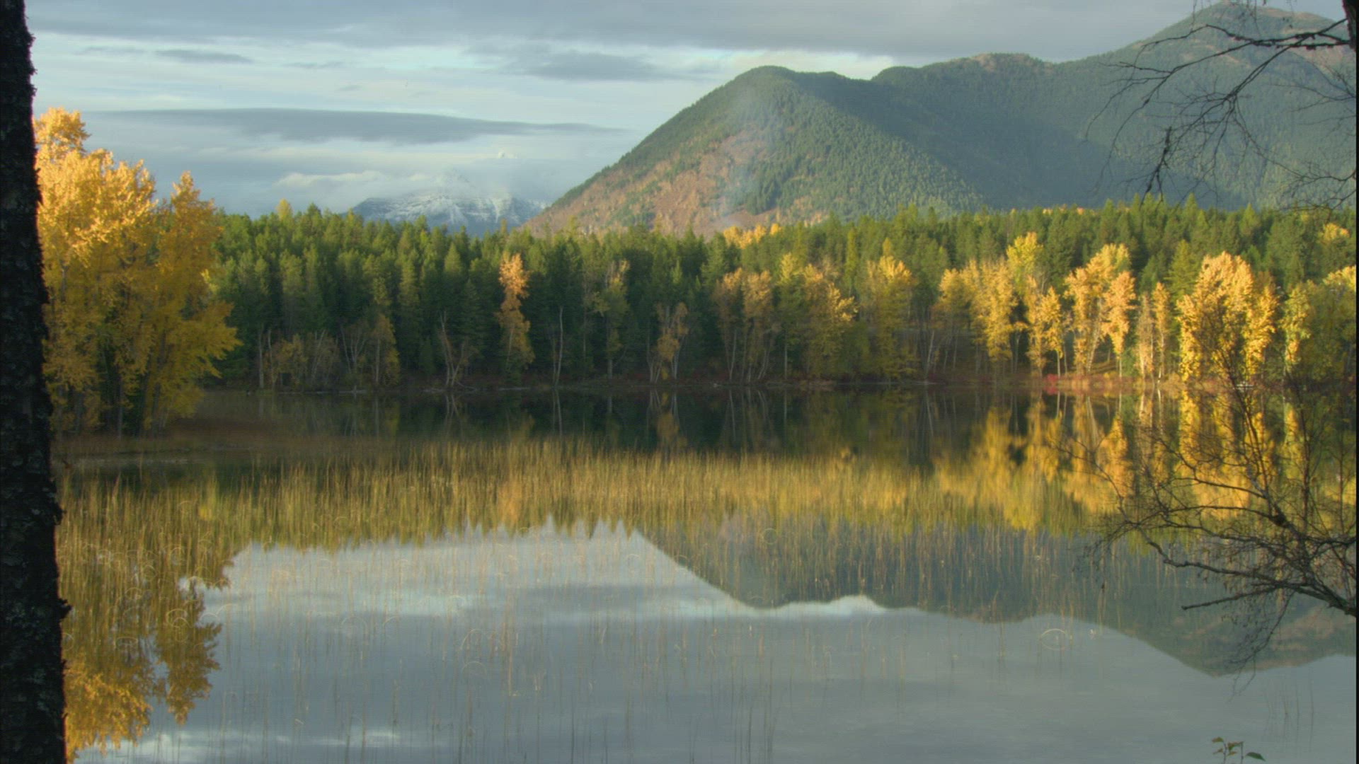 368219385 / Tranquillity / Environment / Scenic