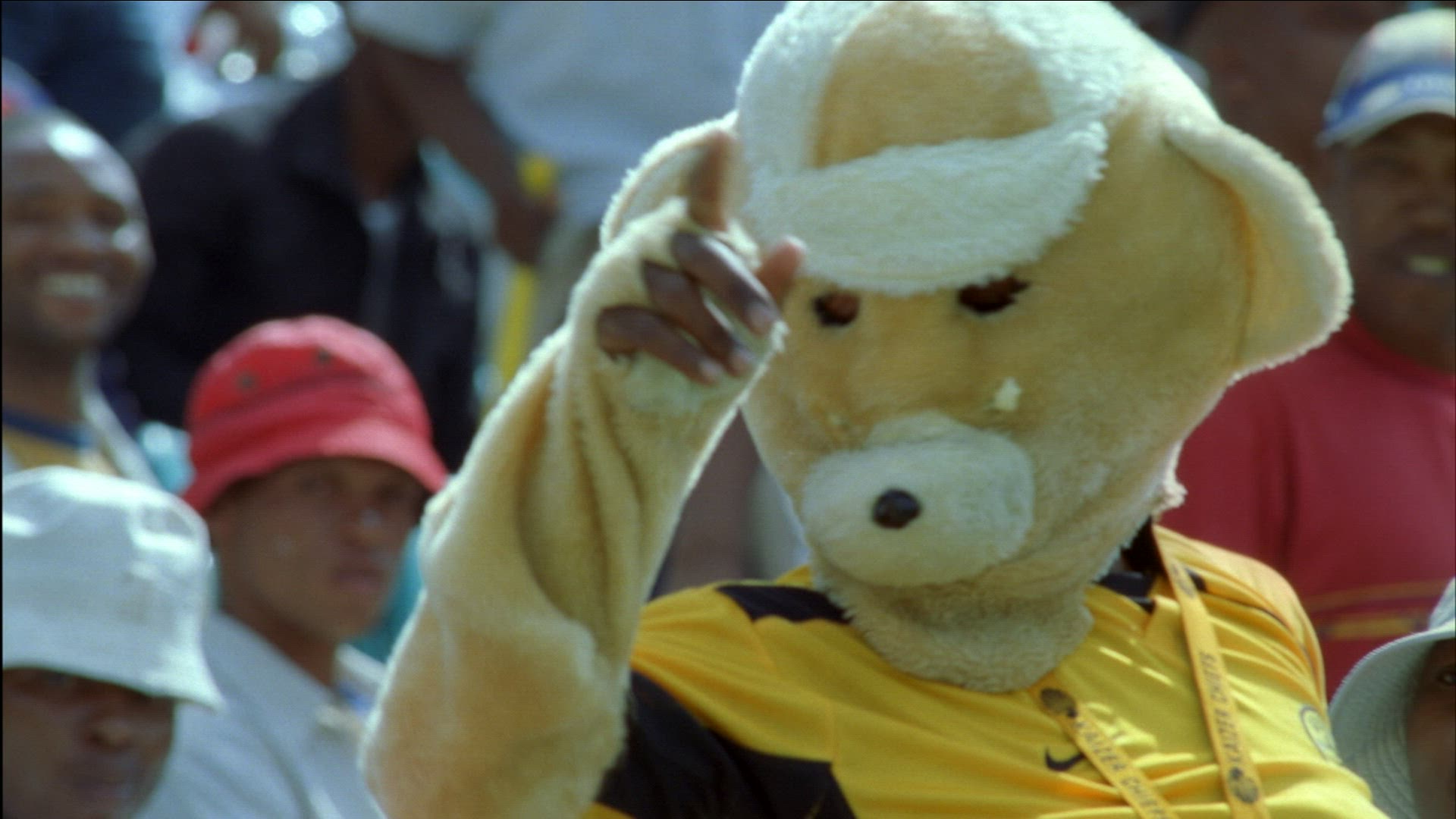 769174439 / Kaizer Chiefs / Football Fan / South Africa