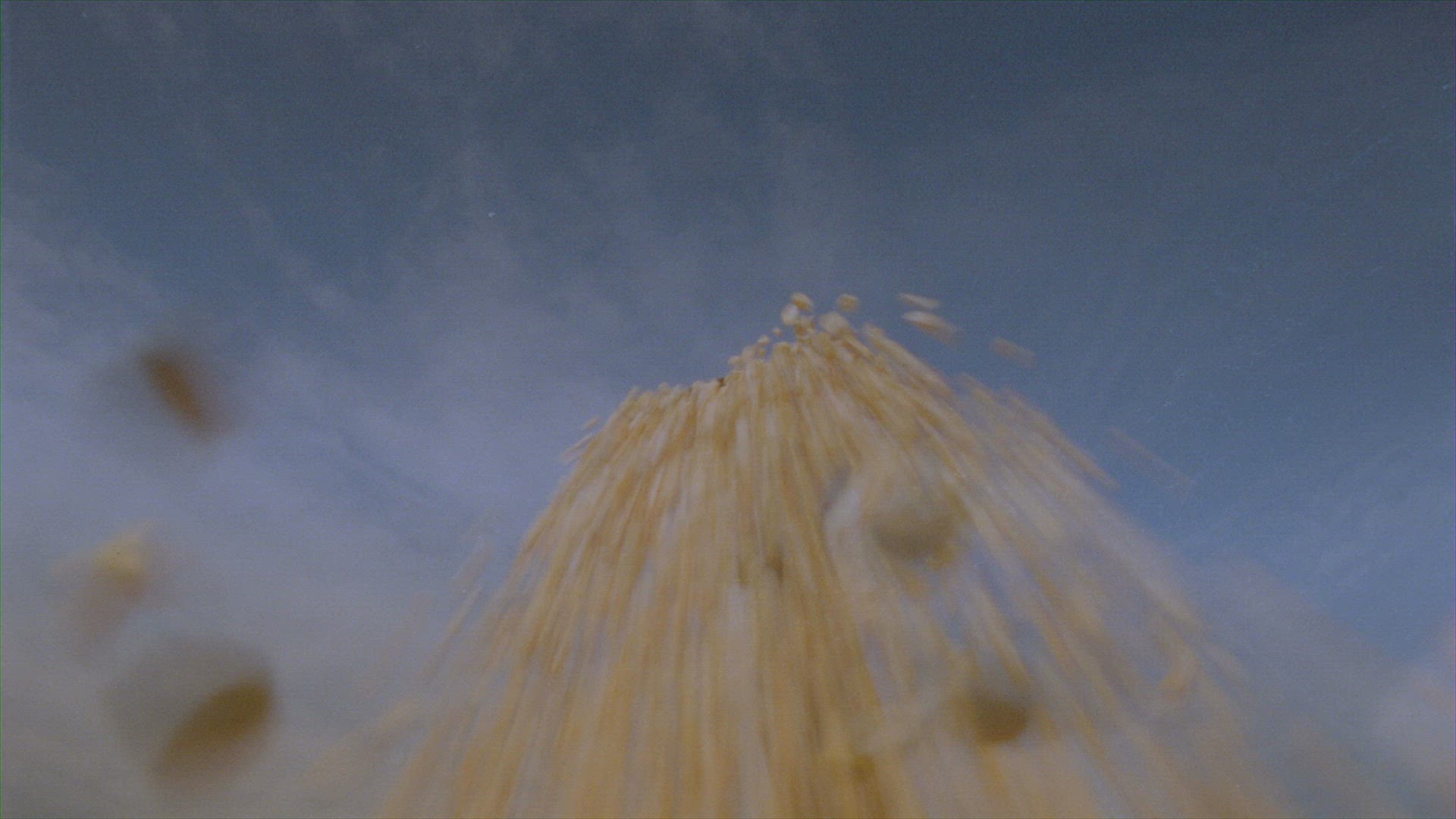 227083992 / Corn Harvest / Harvester / South Africa