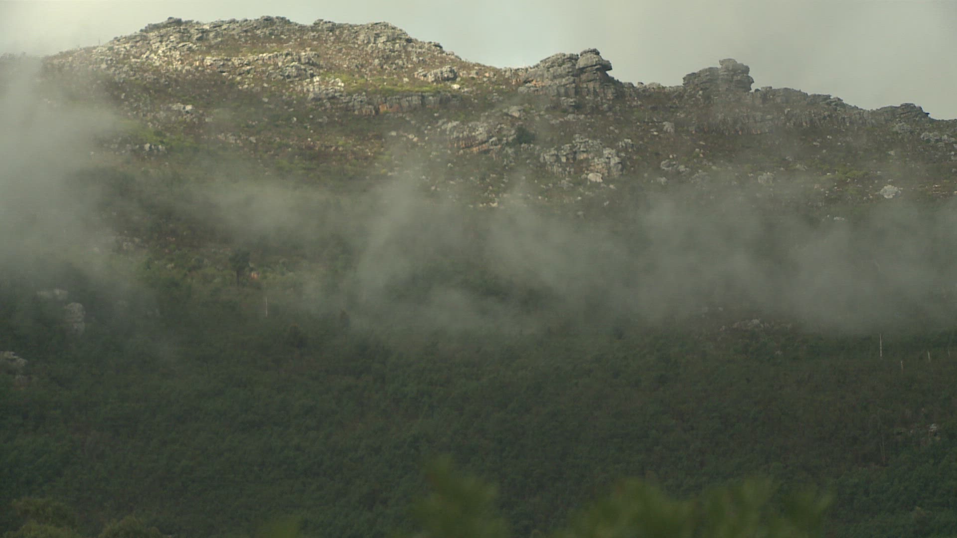 579511315 / Landscape / South Africa