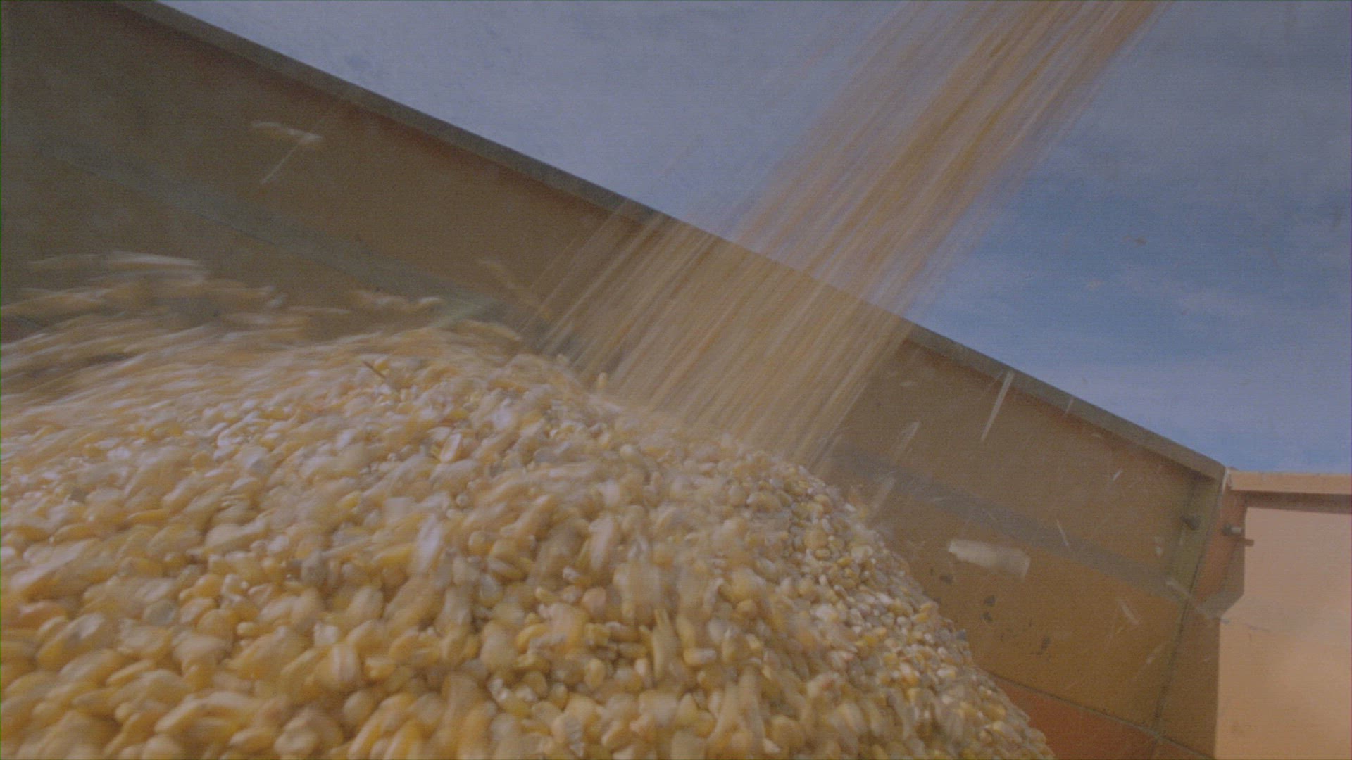 976547199 / Corn Harvest / Harvester / South Africa