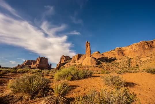 Desert Sands