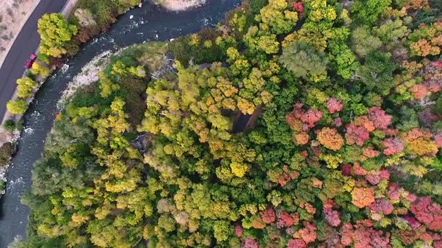 Aerial view looking down at Provo River and colorful Fall leaves