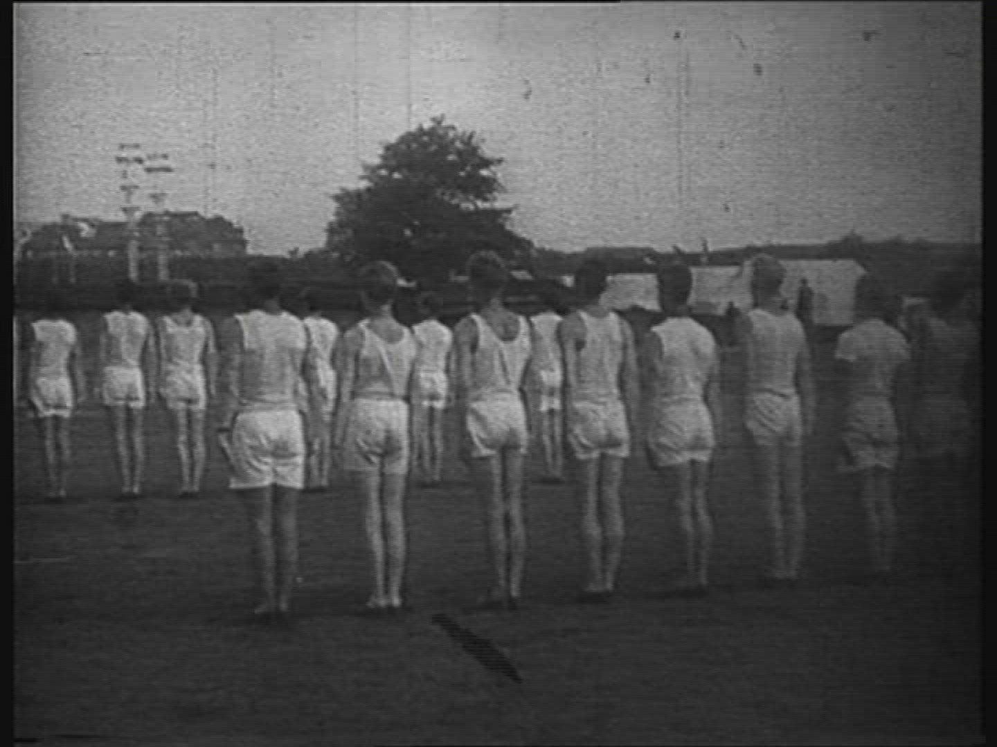 960582822 / Gymnastics / Olympic Games / Germany / 1936