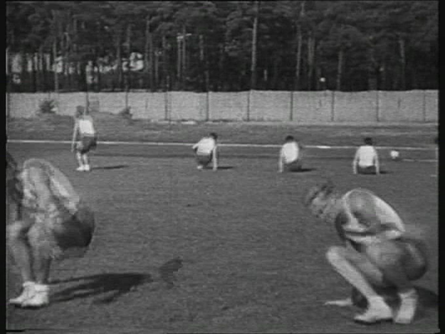 495402858 / Gymnastics / Olympic Games / Germany / 1936