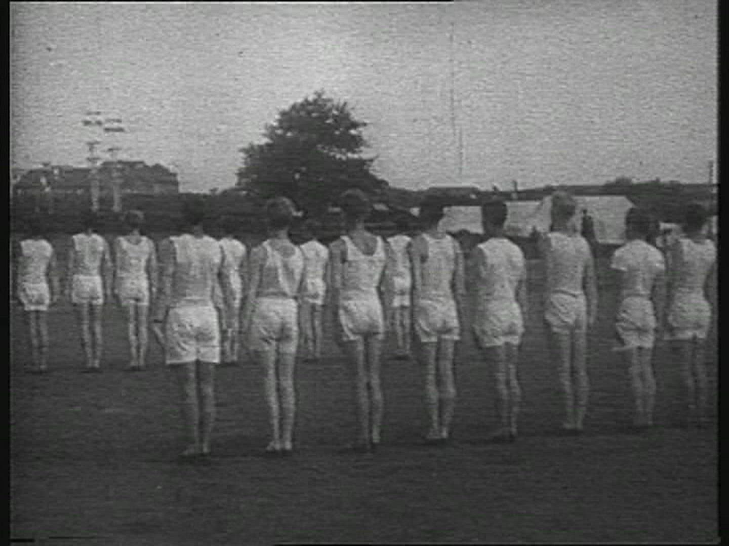 875684719 / Gymnastics / Olympic Games / Germany / 1936
