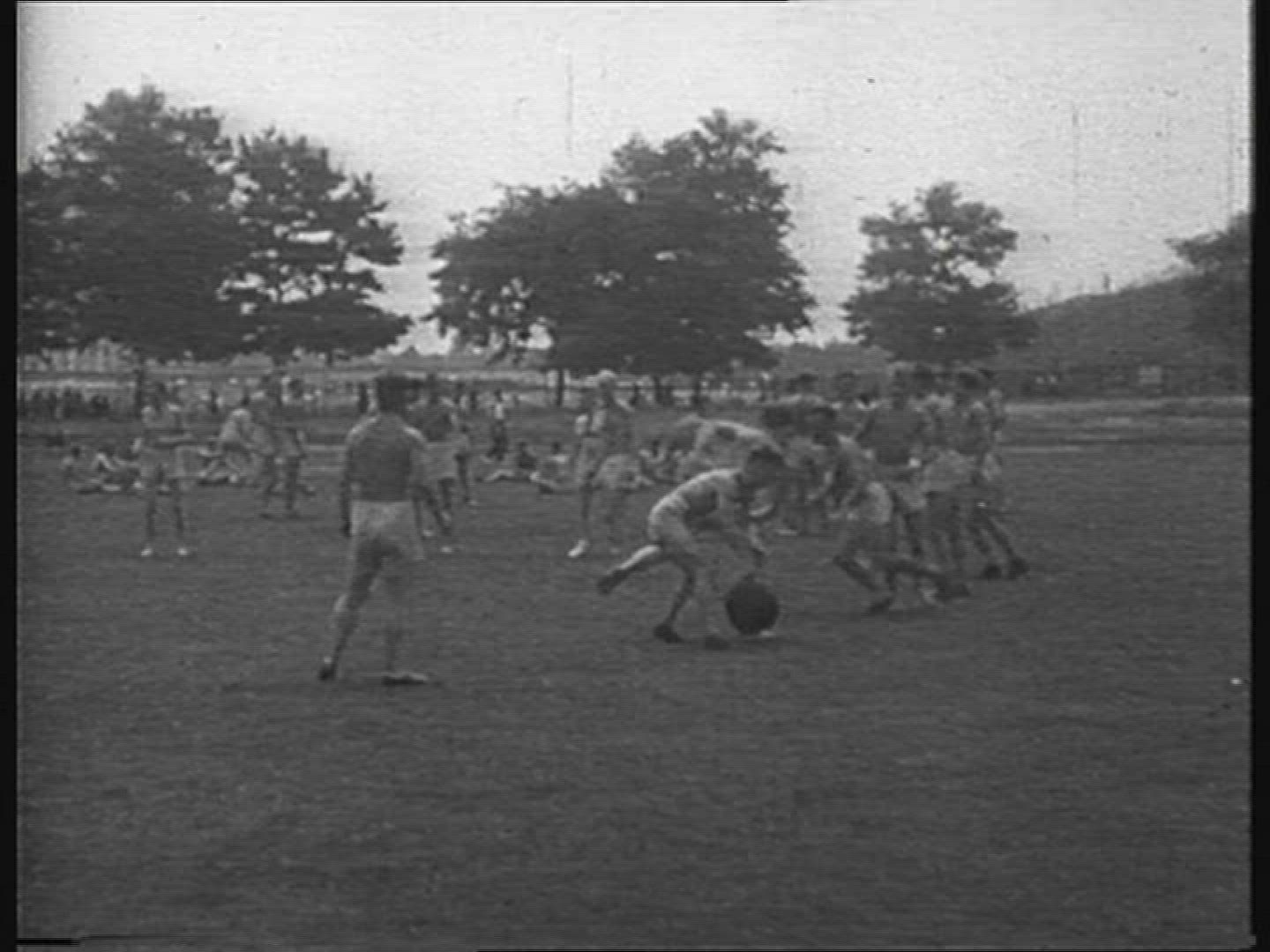 969918501 / Sports / Olympic Games / Germany / 1936