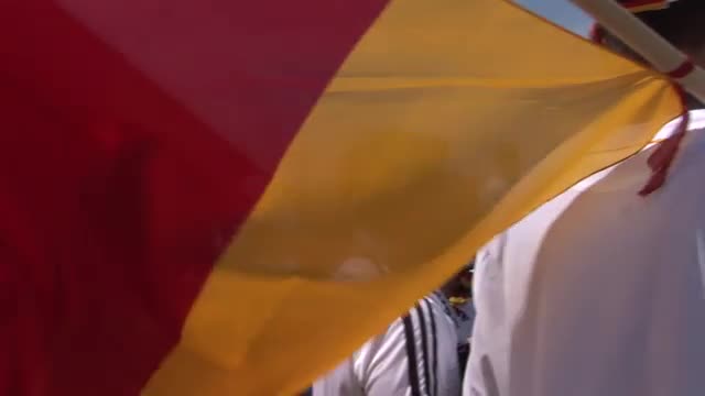 815784115 / World Championship / Fan / Germany / 2006