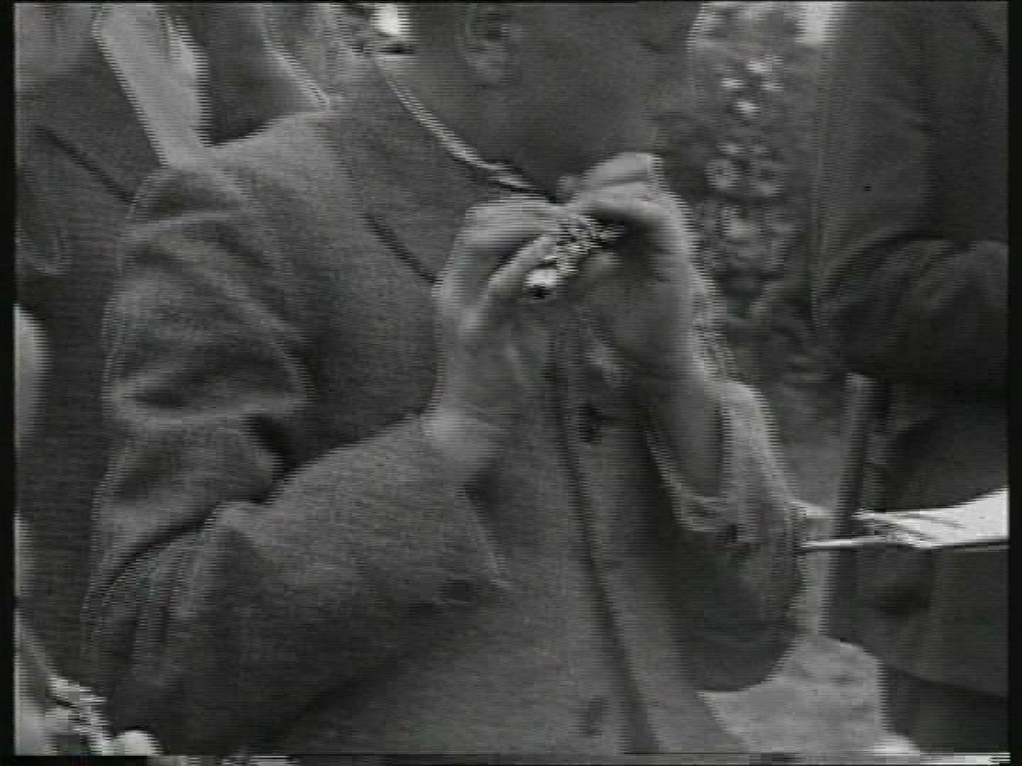 649787664 / Bowlplaying / Germany / 1934