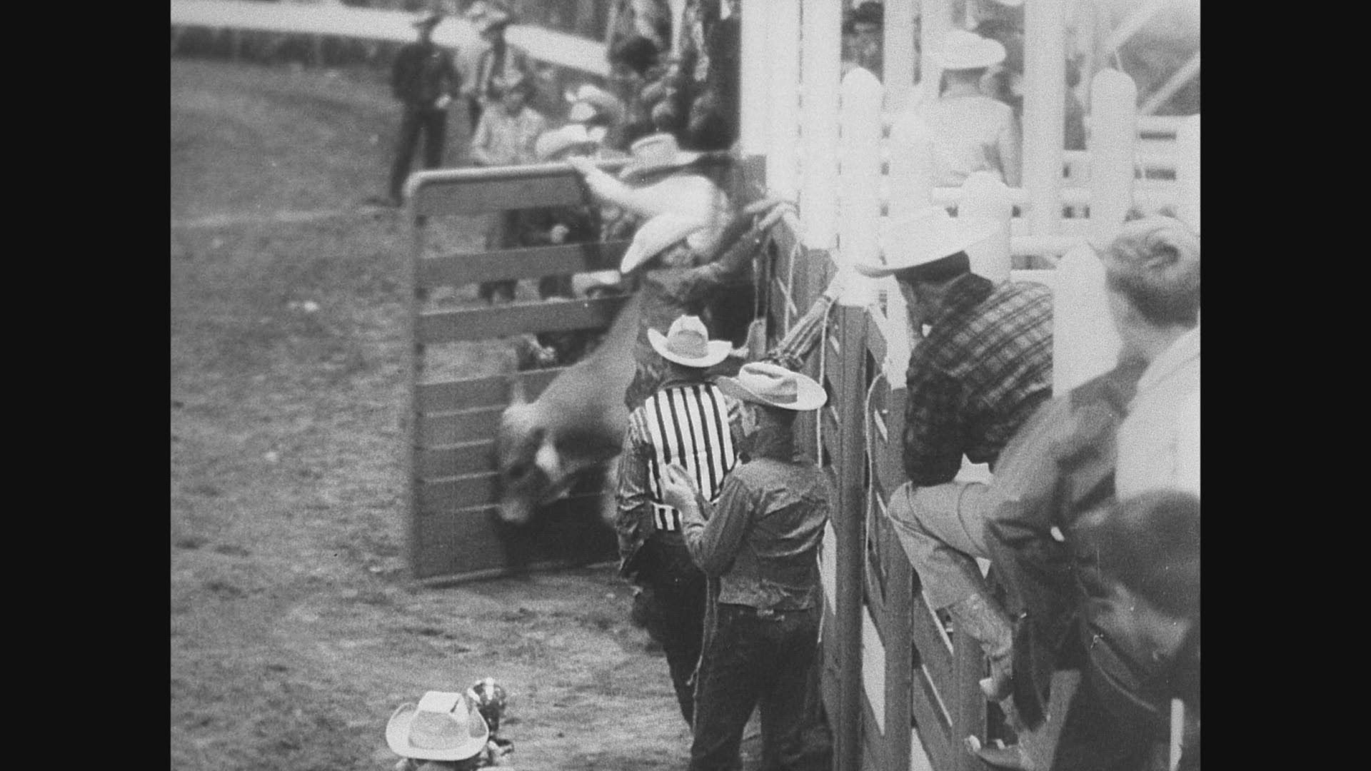 438083951 / Rodeo / Mount Vernon / Virginia / USA / 