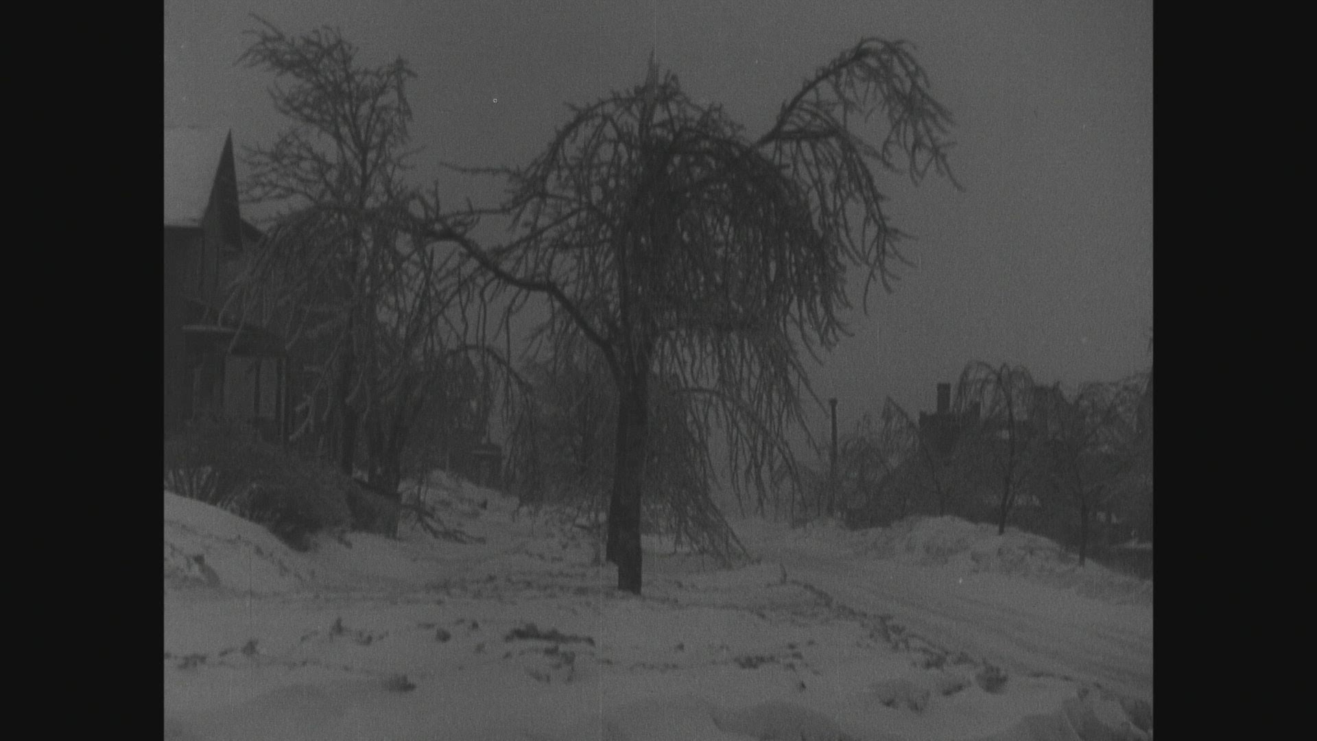589374158 / Blizzard / USA / 