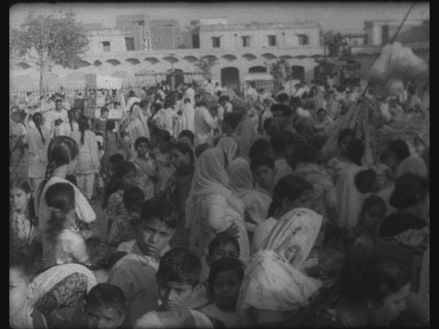 918224541 / Sacred Cow / Festival / India / 1967