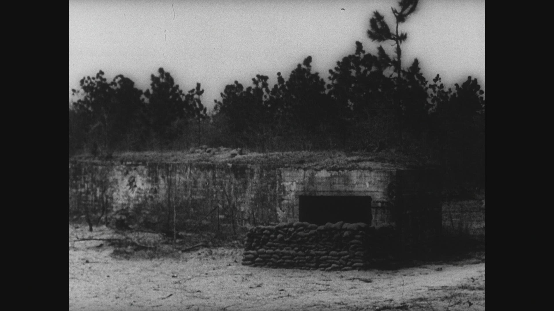 546033843 / Warplane / Test / Florida / 