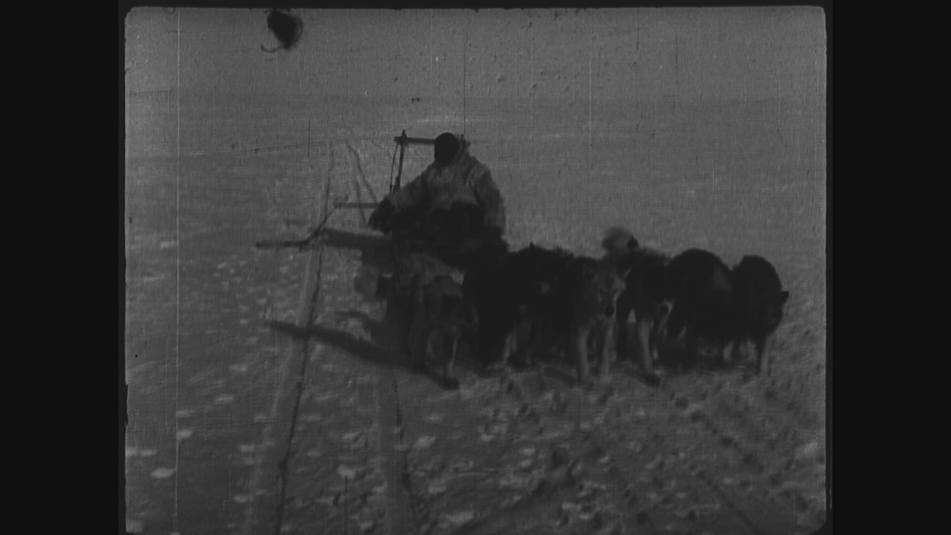 237113701 / Alfred Wegener / Expedition / Greenland / 
