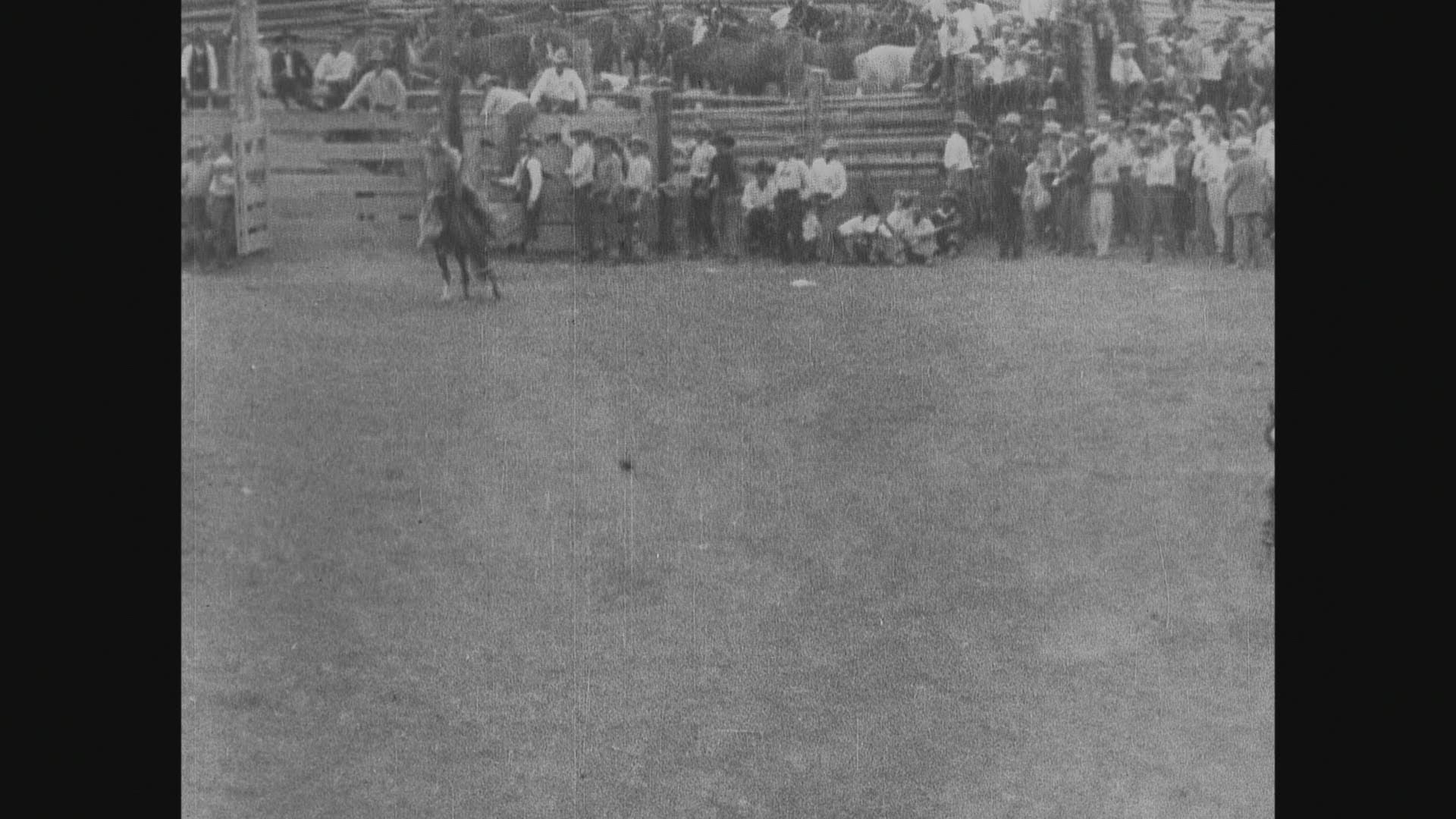 812904228 / Rodeo / Event / USA / 
